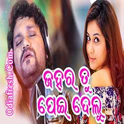 Jahara Tu Pei Delu,Odia New Sad Song,Humane Sagar